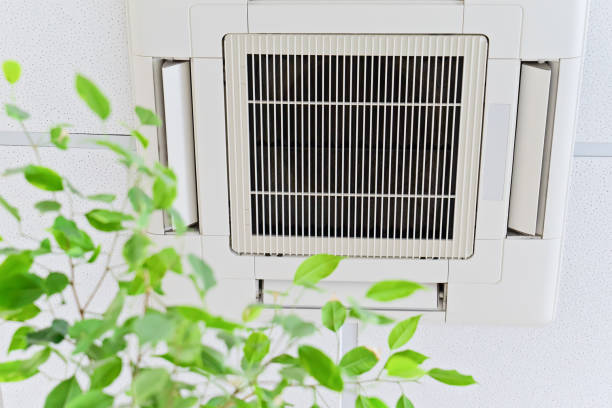 Best Air Duct Sanitizing Services  in Palisade, CO